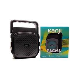 KANJI PARLANTE PORTA PACHA USB FM