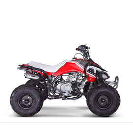 CUATRICICLO 110 CC  MOTOMEL